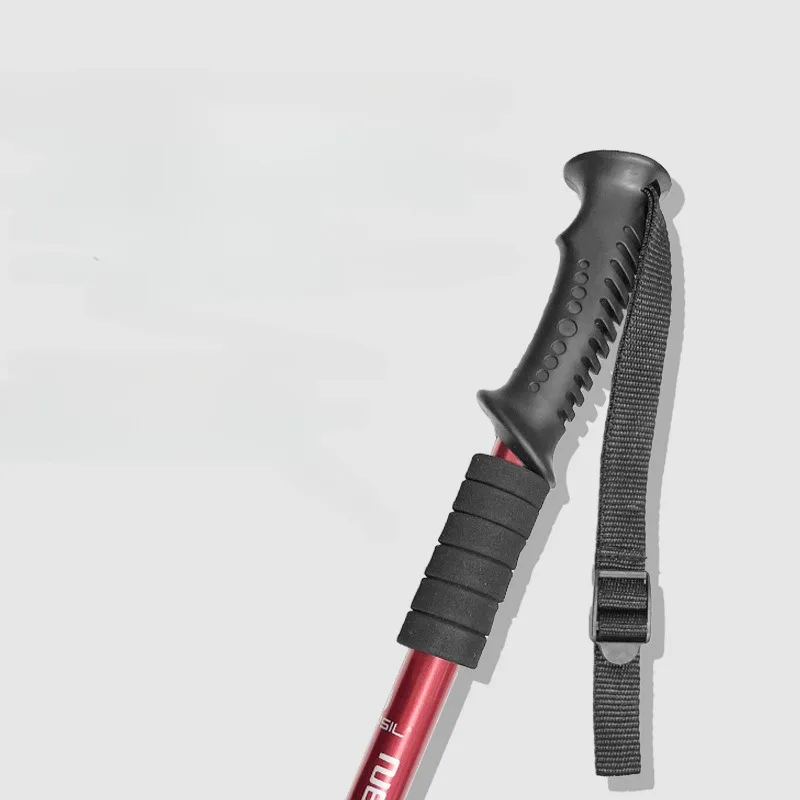 Yürüyüş Trekking Direkleri Ant - Trekking Pole Carbon incelemesi ve fiyatı